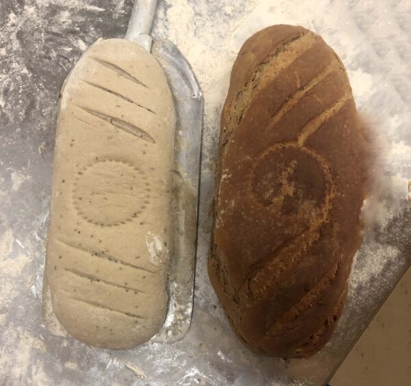 Bio Hausbrot